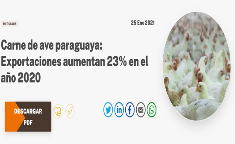 Las exportaciones de carne de ave paraguaya aumentaron un 23% en el año 2020