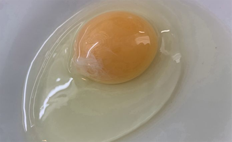 ¿Sabías que los huevos ocupan un lugar bajo en emisiones de gases de efecto invernadero?