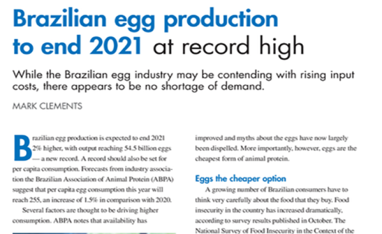 Producción brasileña de huevos terminará 2021 en récord